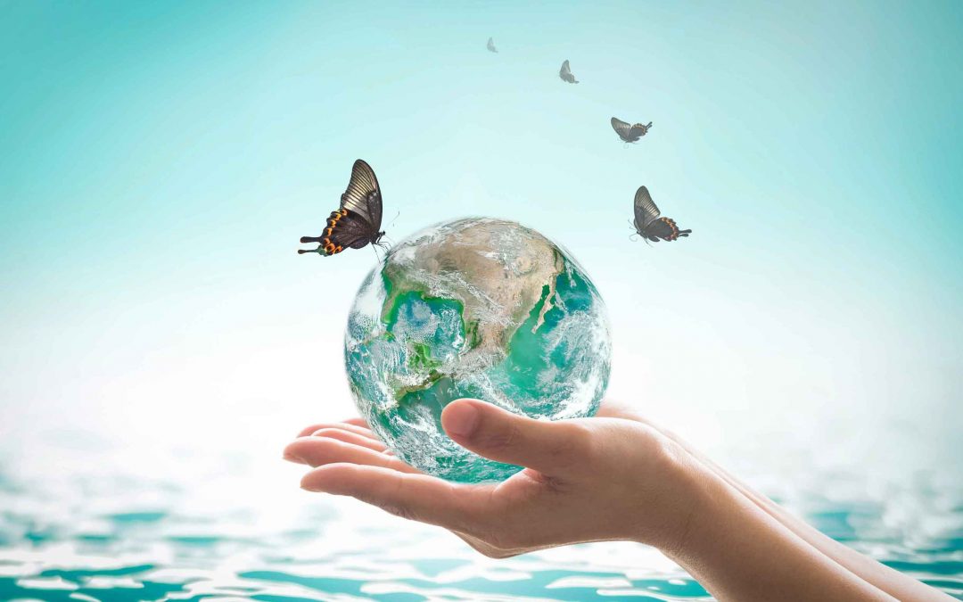 Earth in hands and butterflies are flying