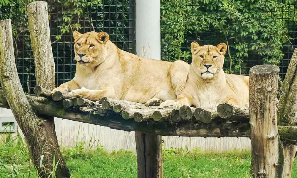Maraimalai Nagar Zoo